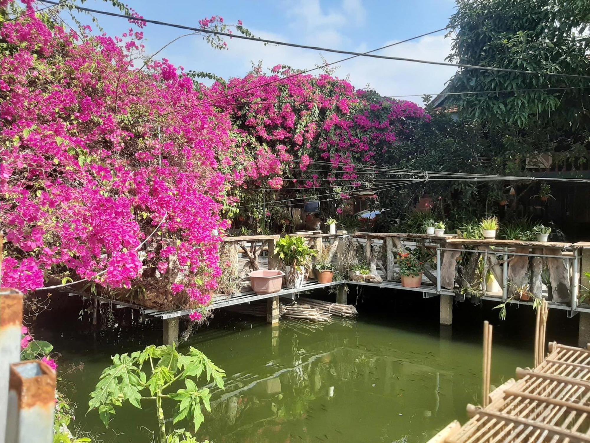 Minh Ngoc Homestay Dien Bien Phu Ban Hin Lom Exteriér fotografie