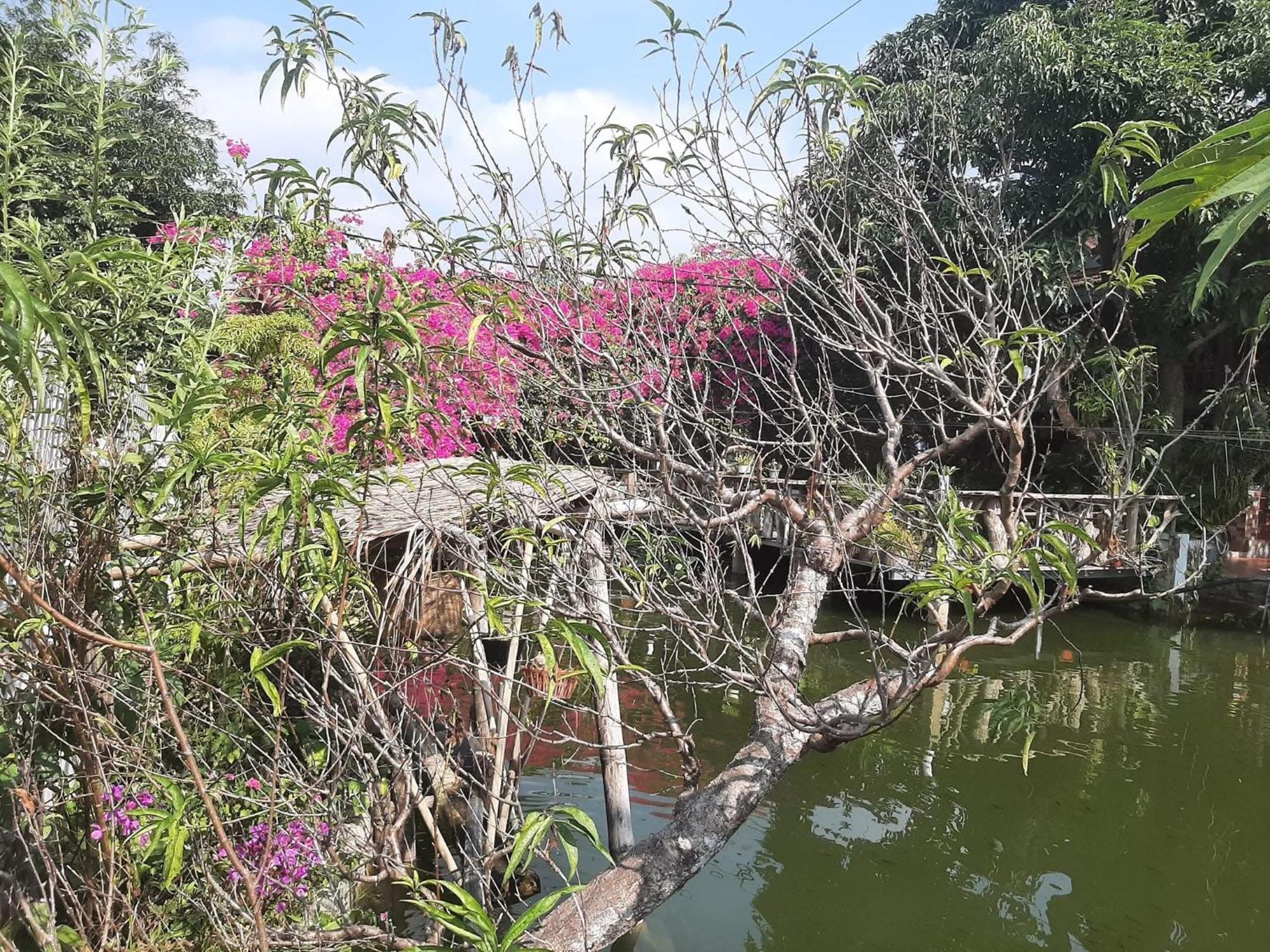 Minh Ngoc Homestay Dien Bien Phu Ban Hin Lom Exteriér fotografie