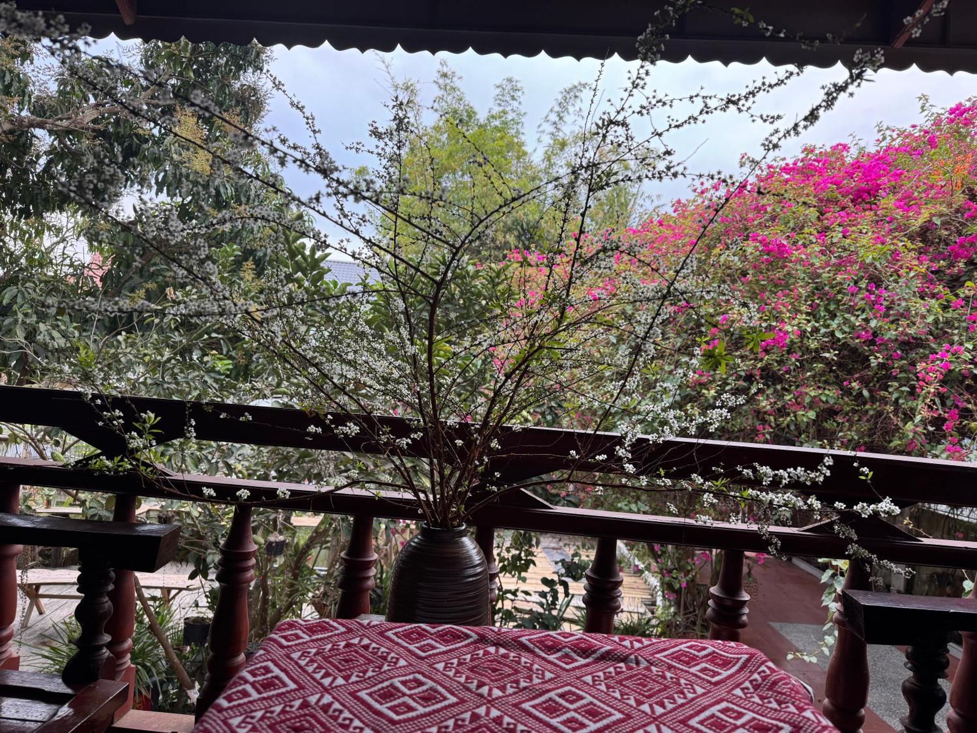 Minh Ngoc Homestay Dien Bien Phu Ban Hin Lom Exteriér fotografie